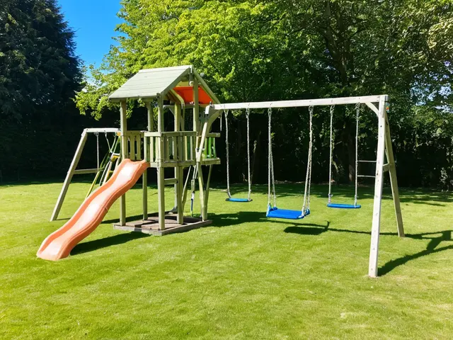 Swings & Playsets